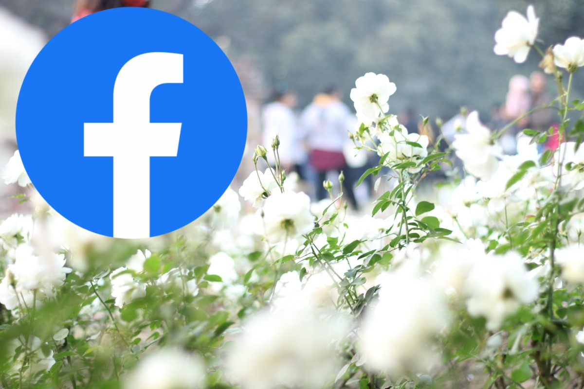 How to Livestream a Funeral on Facebook